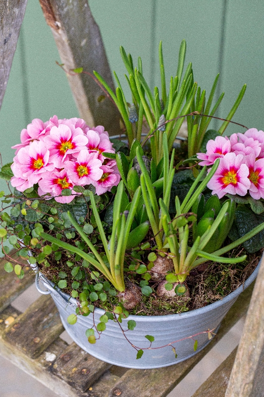Small Spring Planter