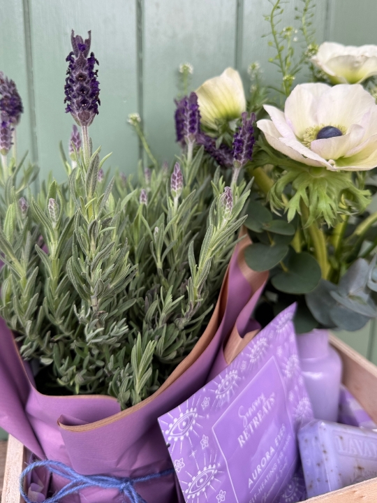 Lilac Dreams Gift Box