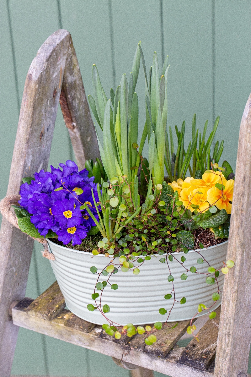 Large Spring Planter