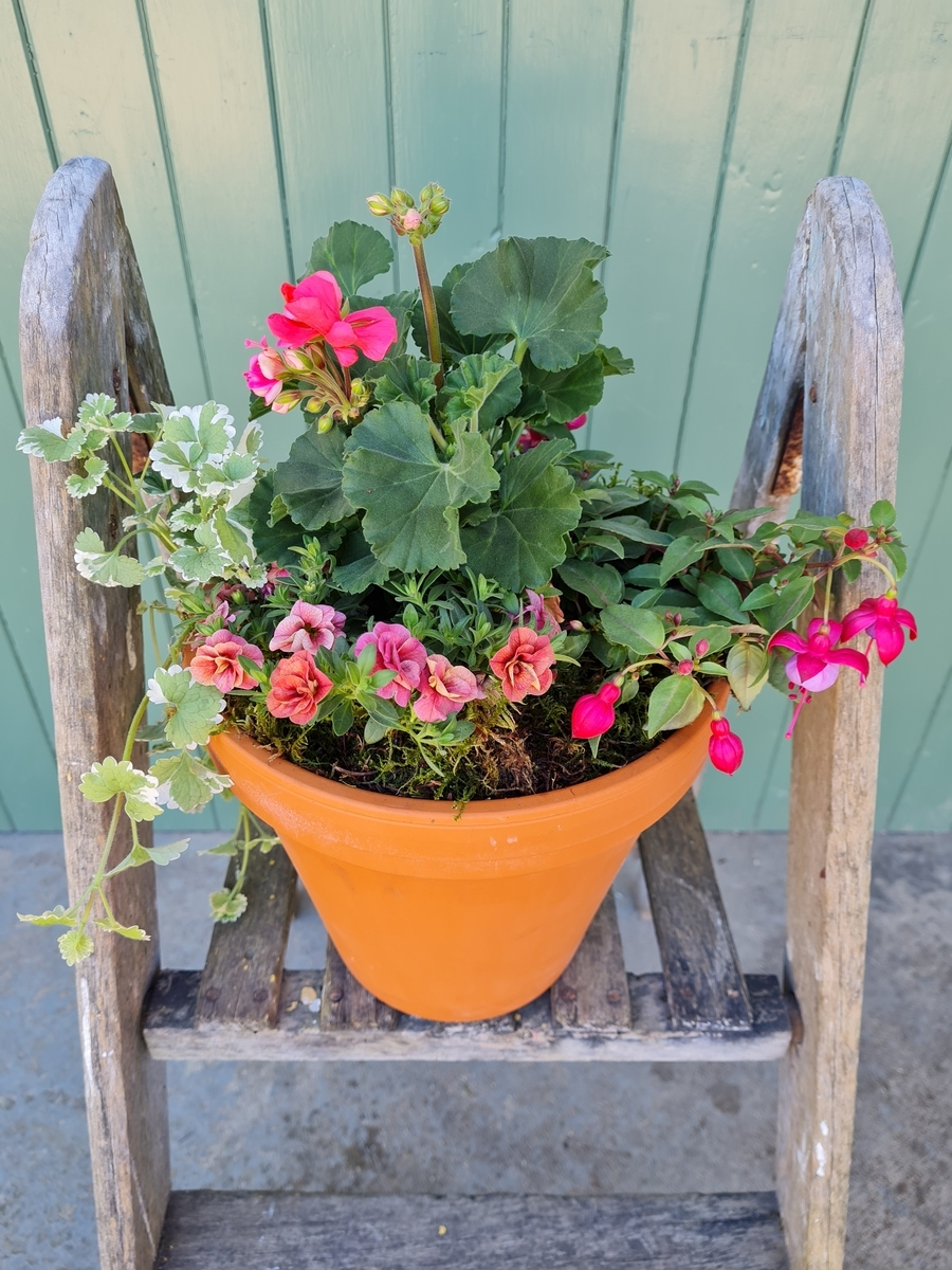 Summer Garden Planter