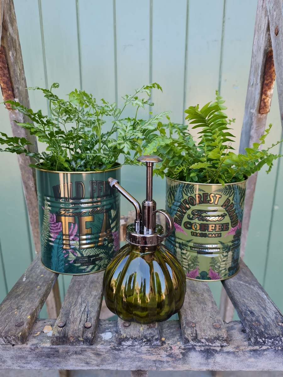 For The Plant Lovers
