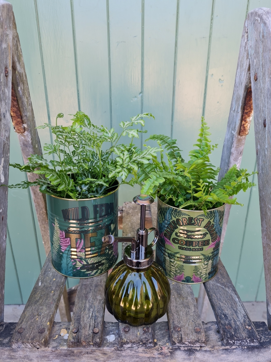 For The Plant Lovers