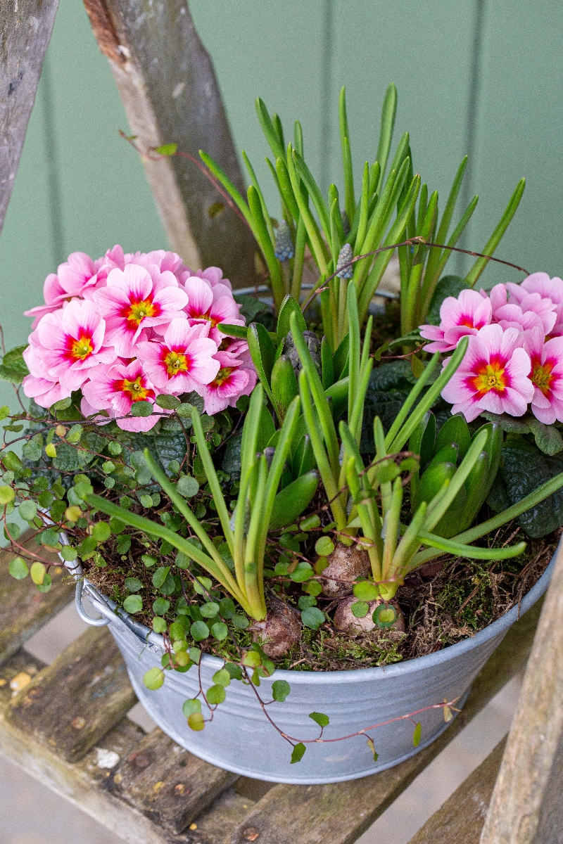 Small Spring Planter