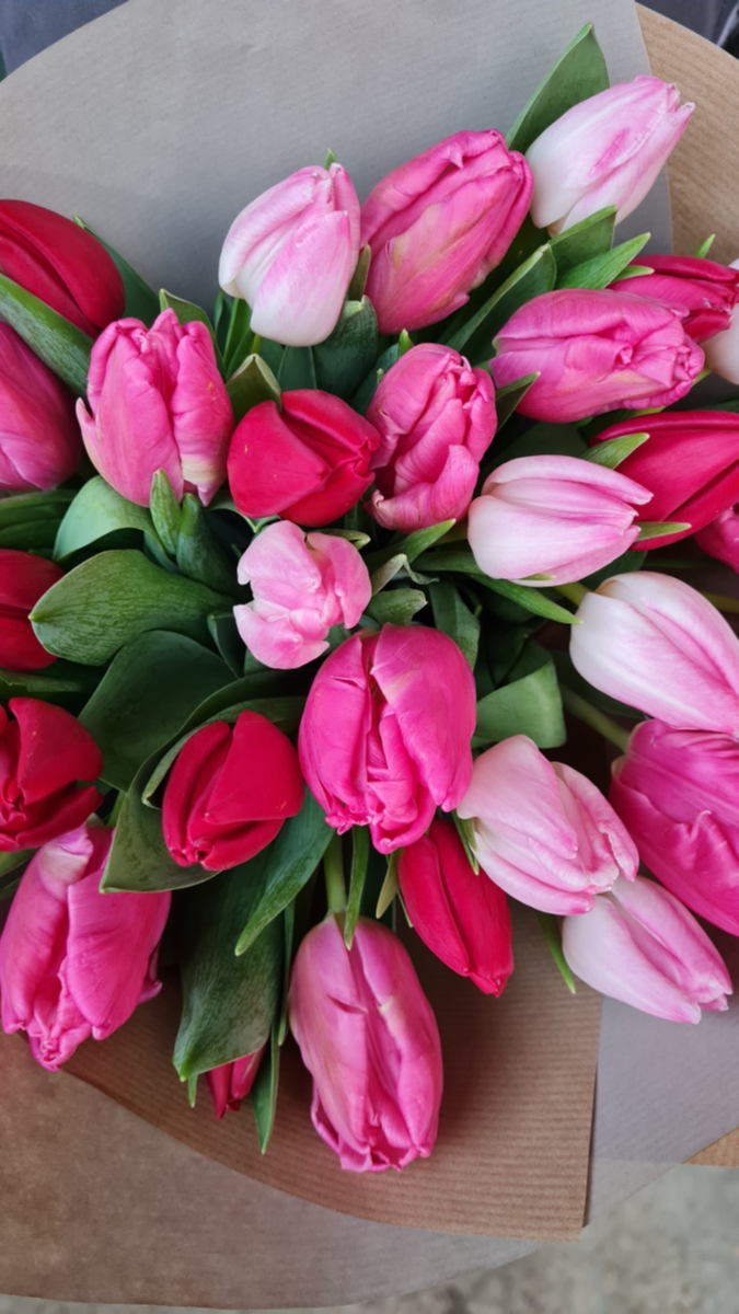 Valentines Tulips