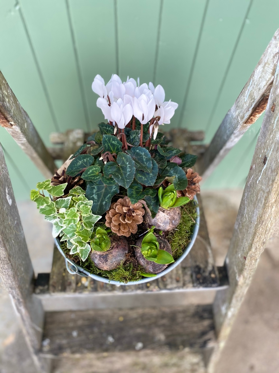 White Planter