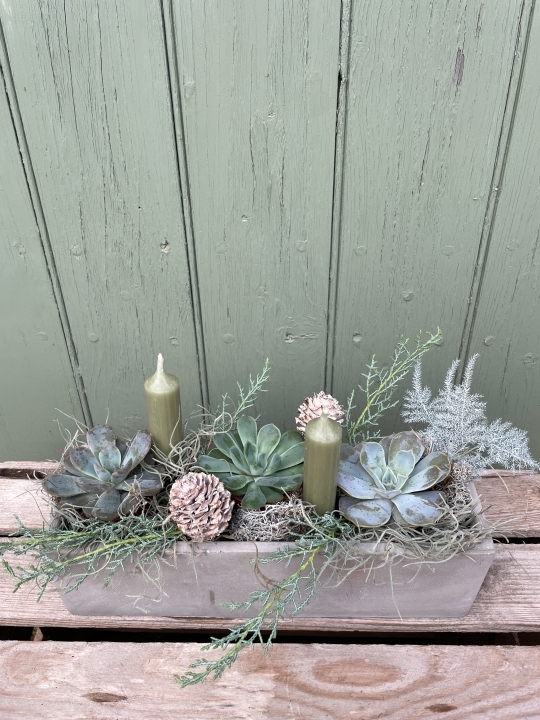 Winter Succulent planter