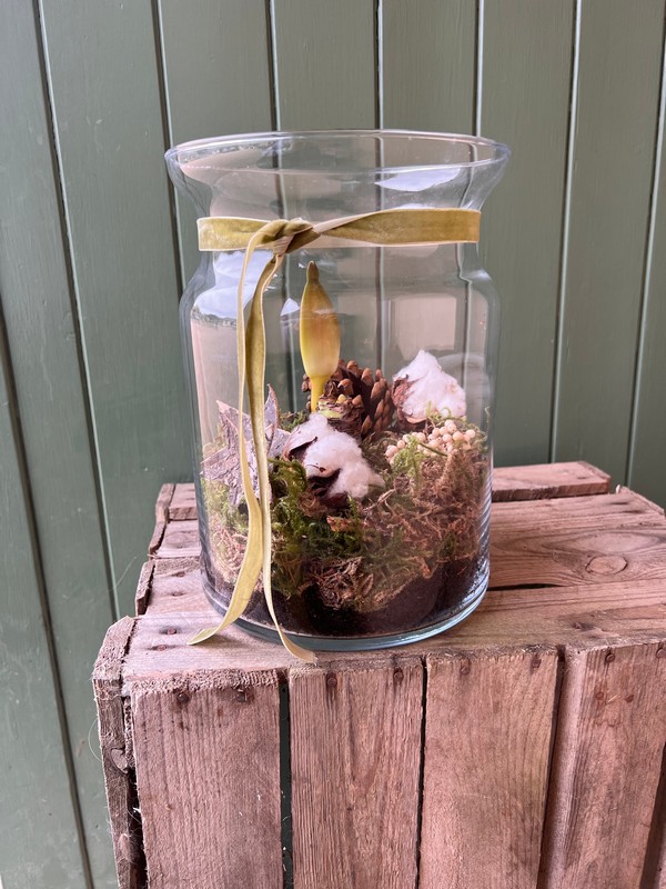 White Amaryllis Planted Vase