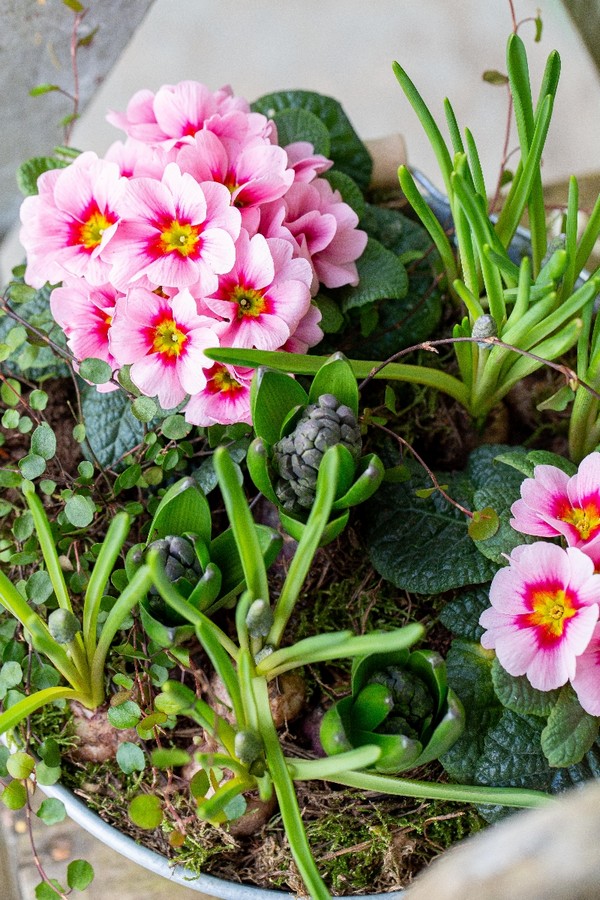 Small Spring Planter