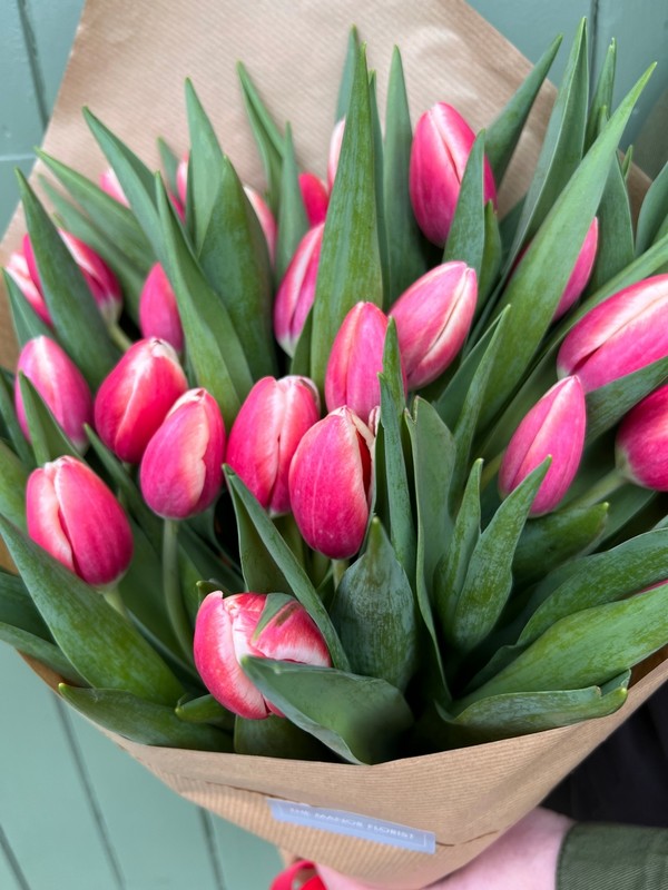Tulip Bouquet