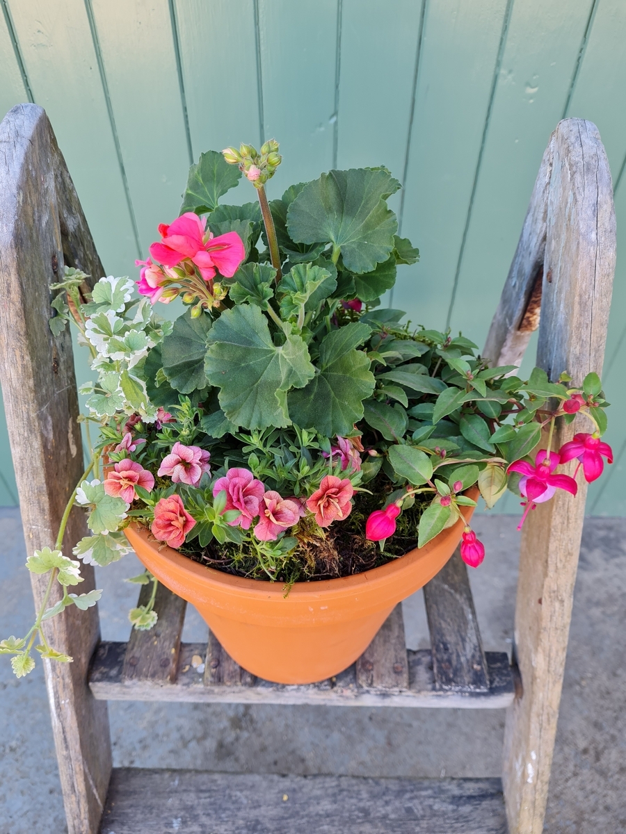 Summer Garden Planter