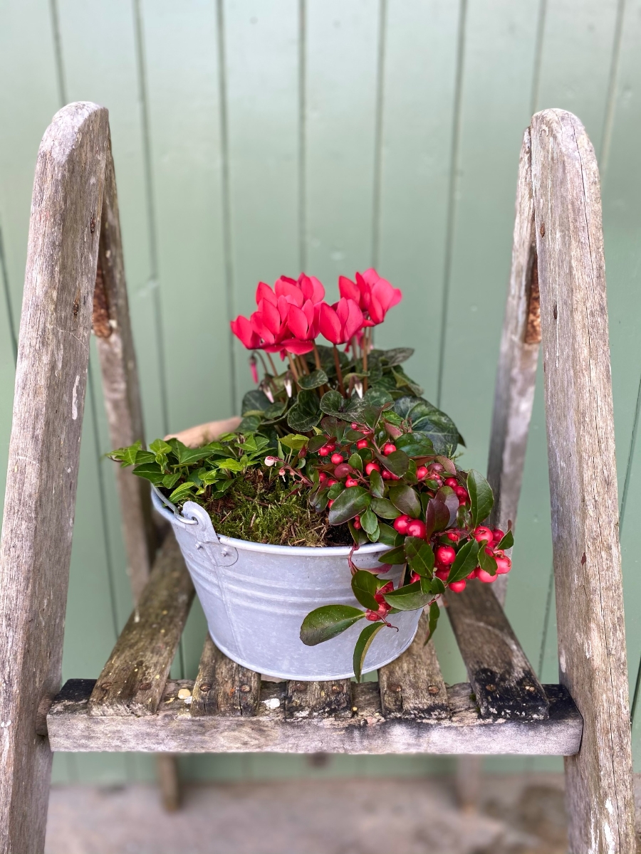 Red Christmas Planter