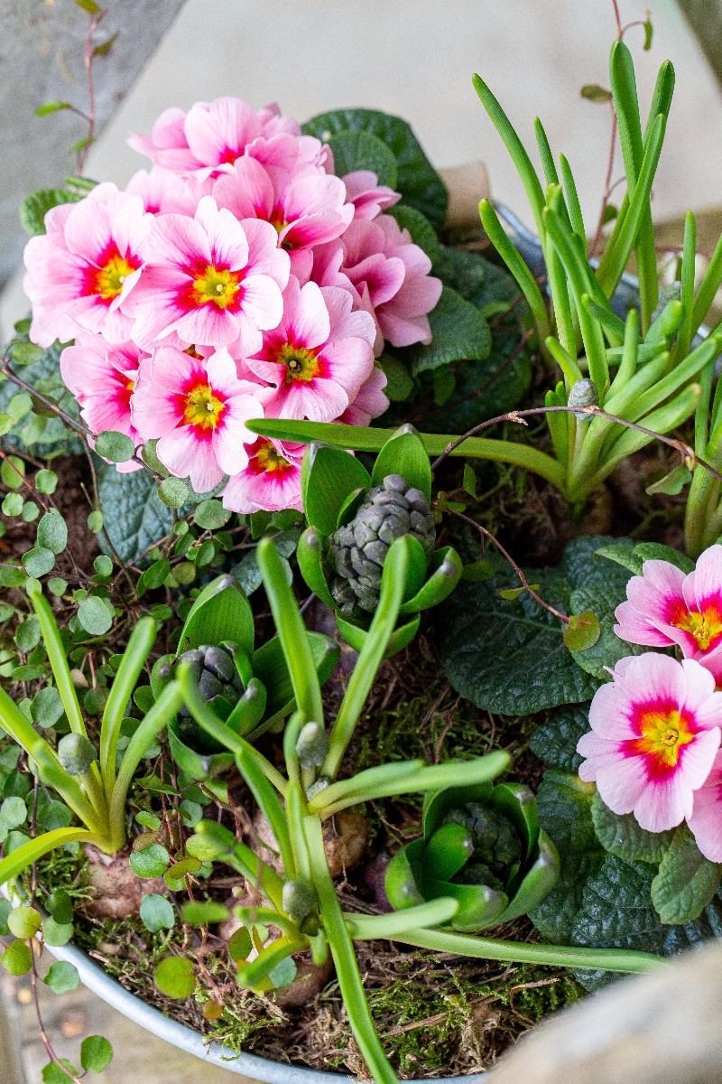 Small Spring Planter