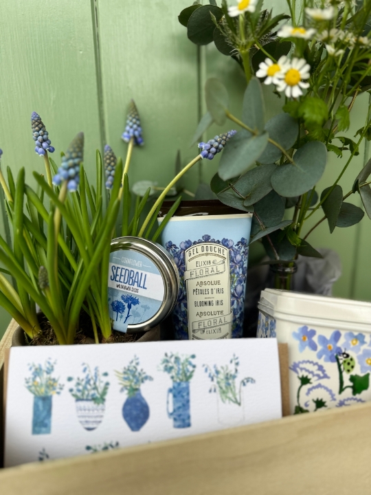 Spring Has Sprung Gift Box