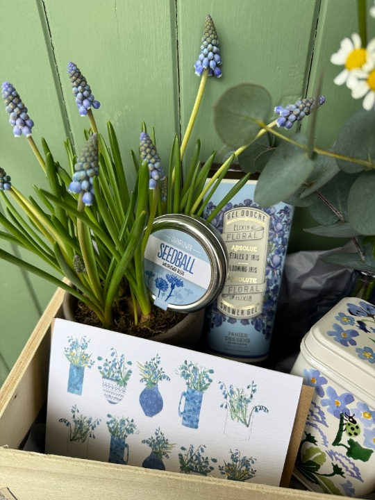 Spring Has Sprung Gift Box